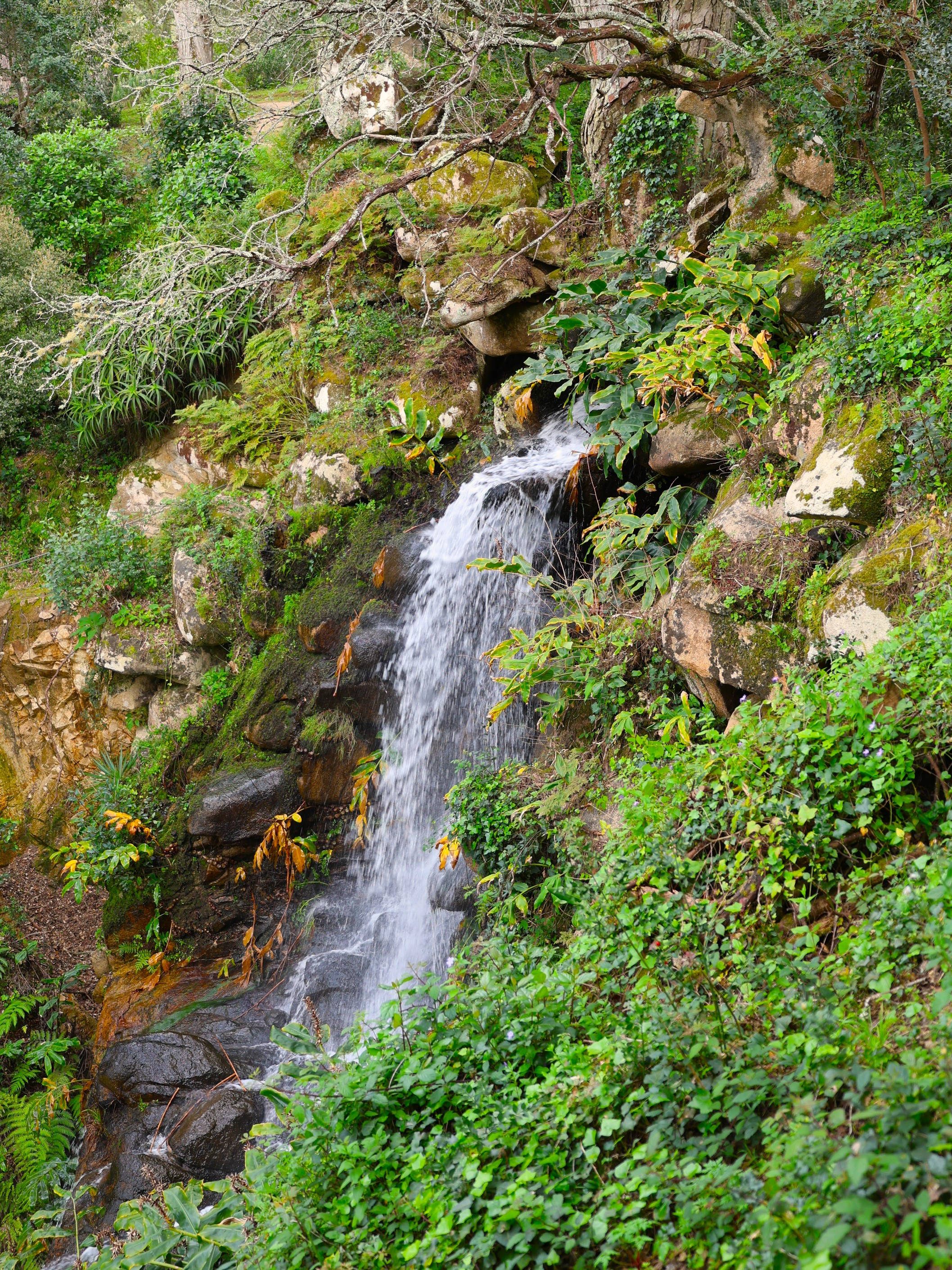 Sintra